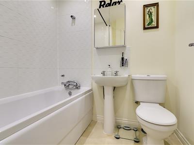 Picture 8